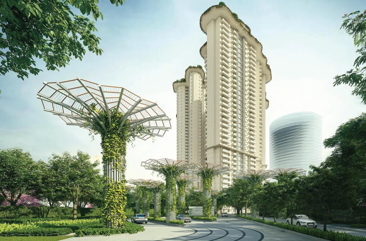 Tulip Monsella project image